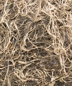 Garden Care Life Shop -Garden Care Life Shop 04933851