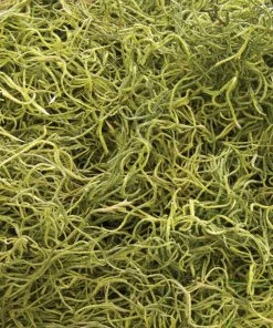 Garden Care Life Shop -Garden Care Life Shop 04933855