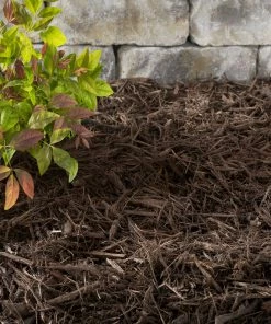 Thing Premium 2-cu ft Dark Brown Hardwood Mulch -Garden Care Life Shop 05316692 scaled