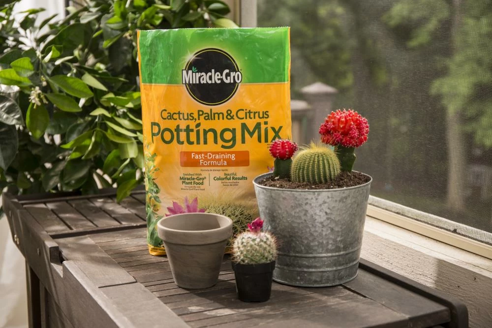 Miracle-Gro Soil & Soil Amendments 8-Quart Potting Soil Mix 7 Miracle-Gro Soil & Soil Amendments 8-Quart Potting Soil Mix - Image 7