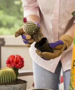 Miracle-Gro Soil & Soil Amendments 8-Quart Potting Soil Mix 11 Miracle-Gro Soil & Soil Amendments 8-Quart Potting Soil Mix -Garden Care Life Shop 05444619