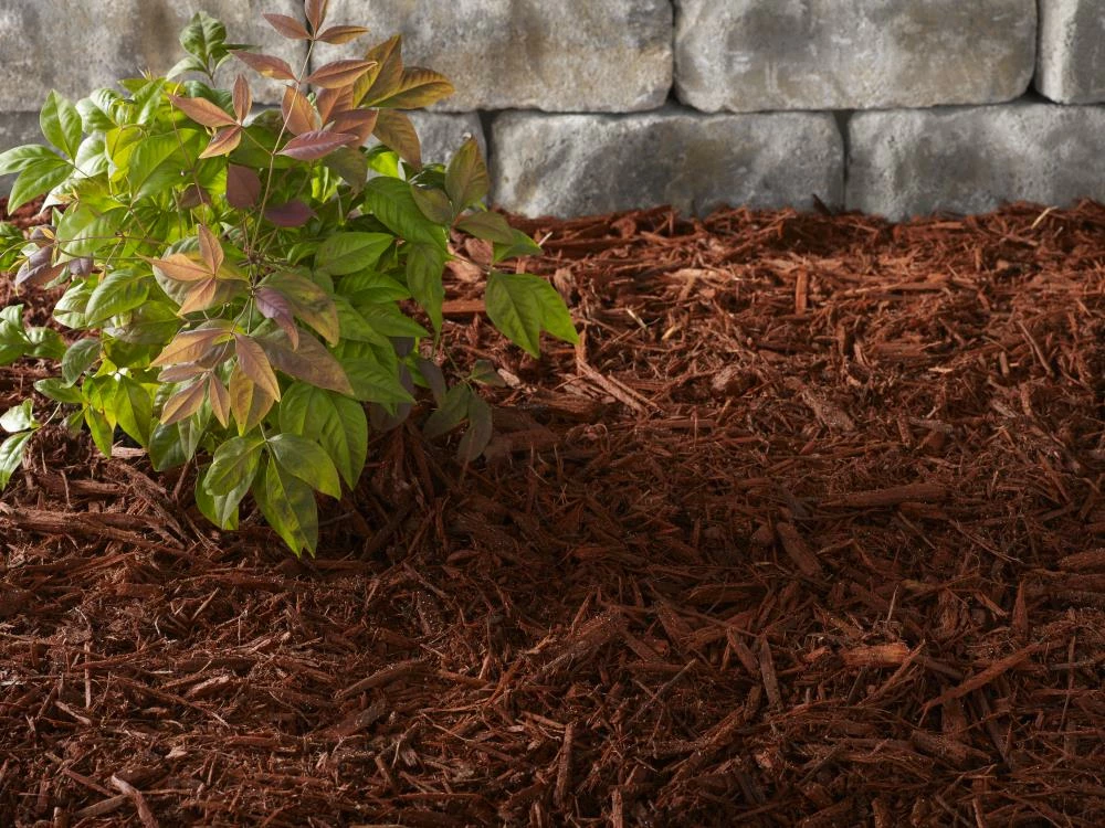 Thing Premium 2-cu ft Red Hardwood Mulch 7 Thing Premium 2-cu ft Red Hardwood Mulch - Image 7