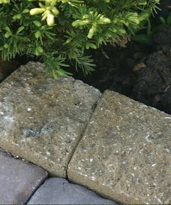 Thing Insignia 5-in L x 8-in W x 3-in H Concrete Straight Edging Stone 13 Thing Insignia 5-in L x 8-in W x 3-in H Concrete Straight Edging Stone -Garden Care Life Shop 07921840