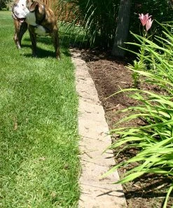 Thing Insignia 5-in L x 8-in W x 3-in H Concrete Straight Edging Stone 10 Thing Insignia 5-in L x 8-in W x 3-in H Concrete Straight Edging Stone -Garden Care Life Shop 07921841