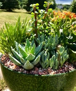 AKASHA Landscaping Rock 4-lb Indoor Decorative Rock -Garden Care Life Shop 08250211