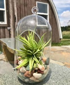 AKASHA Landscaping Rock 5-lb Indoor Decorative Rock -Garden Care Life Shop 08250215