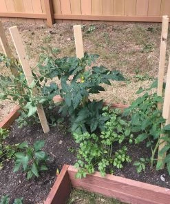 Thing Landscape Fabric & Stakes 6-Pack 60-in Wood Landscape Stakes -Garden Care Life Shop 08337292