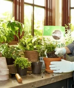 Miracle-Gro Soil & Soil Amendments Indoor 6-Quart Potting Soil Mix 11 Miracle-Gro Soil & Soil Amendments Indoor 6-Quart Potting Soil Mix -Garden Care Life Shop 08465712