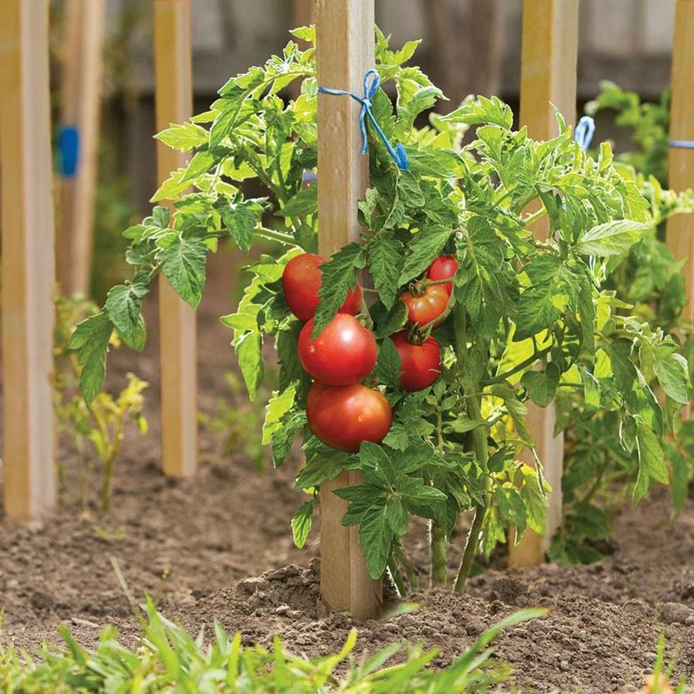 Thing Landscape Fabric & Stakes 12-Pack 12-in Wood Landscape Stake 2 Thing Landscape Fabric & Stakes 12-Pack 12-in Wood Landscape Stake - Image 2