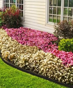 EasyFlex 20-ft Black Plastic Landscape Edging Roll 5 EasyFlex 20-ft Black Plastic Landscape Edging Roll -Garden Care Life Shop 11270387
