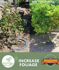 Harvest Gold Organics Soil & Soil Amendments Premium Soil Conditioner Organic Provides Organic Nutrients -Garden Care Life Shop 12097051