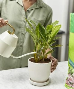 Miracle-Gro Soil & Soil Amendments Moisture Control Peat Moss Moisture Control -Garden Care Life Shop 12190882