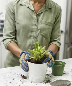 Miracle-Gro Soil & Soil Amendments Perlite Improves Soil Structure 15 Miracle-Gro Soil & Soil Amendments Perlite Improves Soil Structure -Garden Care Life Shop 12190890