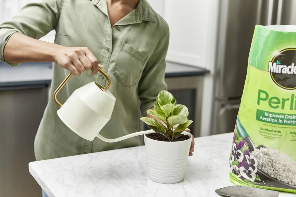 Miracle-Gro Soil & Soil Amendments Perlite Improves Soil Structure 7 Miracle-Gro Soil & Soil Amendments Perlite Improves Soil Structure - Image 7