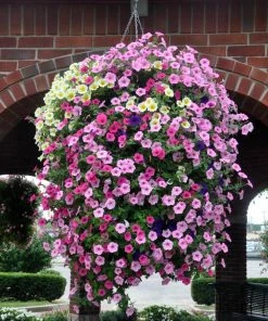 Soil Moist Soil & Soil Amendments Synthetic Polymer Moisture Control -Garden Care Life Shop 15604160