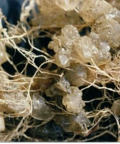 Soil Moist Soil & Soil Amendments Synthetic Polymer Moisture Control -Garden Care Life Shop 15604162