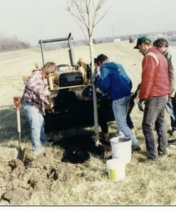 Soil Moist Soil & Soil Amendments Synthetic Polymer Moisture Control -Garden Care Life Shop 15604163