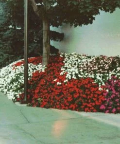 Soil Moist Soil & Soil Amendments Synthetic Polymer Moisture Control -Garden Care Life Shop 15604164