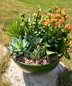 AKASHA Landscaping Rock 4-lb Indoor Decorative Rock -Garden Care Life Shop 16989167