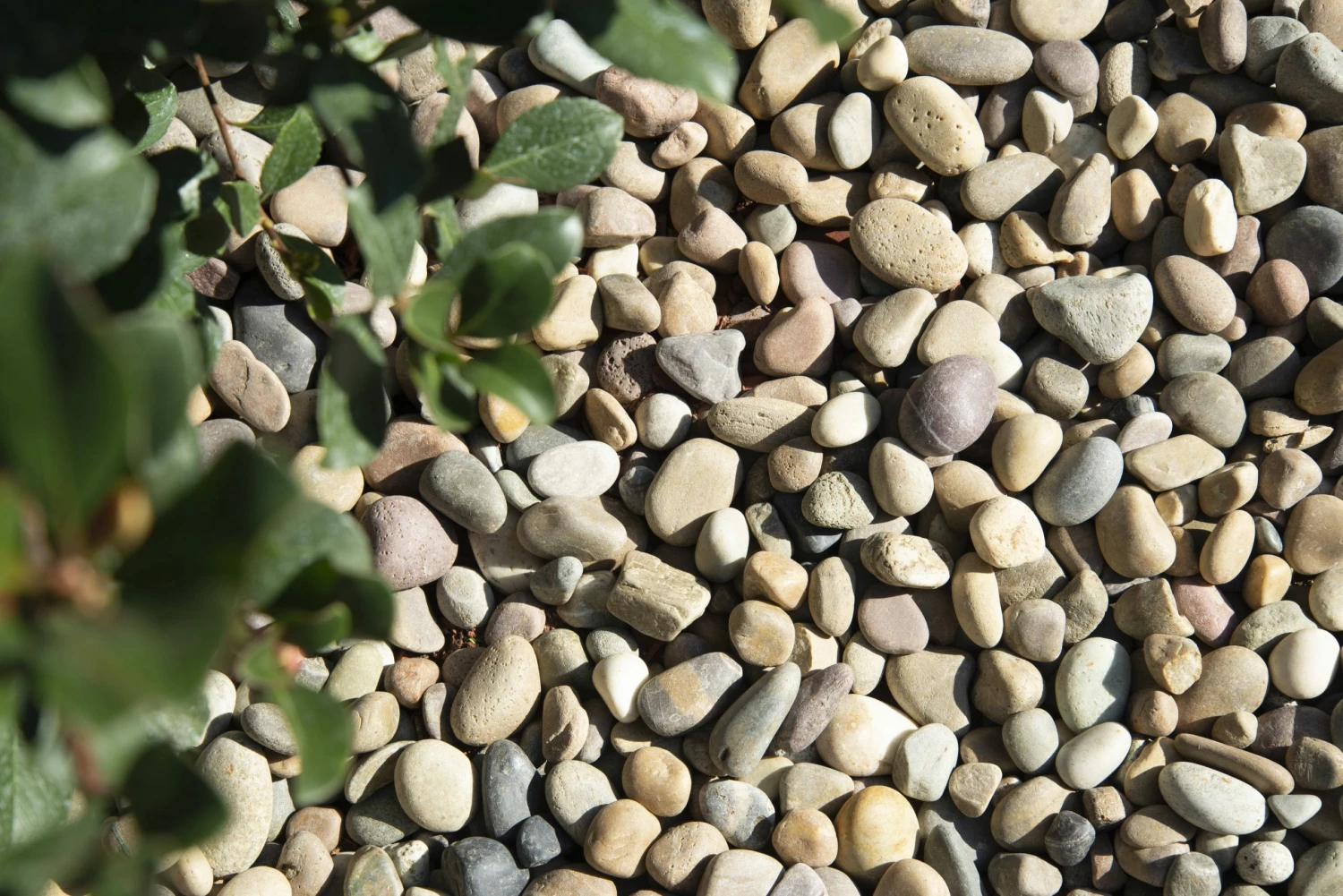 WonderLand Landscaping Rock 0.4-cu ft Decorative Rock 4 WonderLand Landscaping Rock 0.4-cu ft Decorative Rock - Image 4