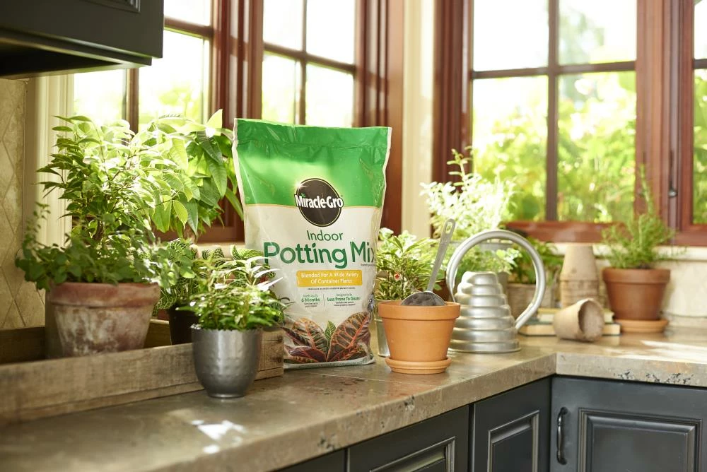 Miracle-Gro Soil & Soil Amendments Indoor 6-Quart Potting Soil Mix 5 Miracle-Gro Soil & Soil Amendments Indoor 6-Quart Potting Soil Mix - Image 5