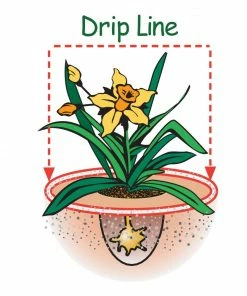 Espoma Soil & Soil Amendments Soil Acidifier Organic Ph Balancer -Garden Care Life Shop 42665127