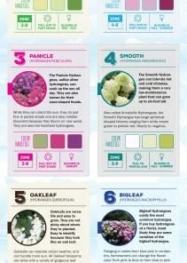 Espoma Soil & Soil Amendments Soil Acidifier Organic Ph Balancer -Garden Care Life Shop 43201441