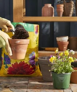 Miracle-Gro Soil & Soil Amendments Potting Mix Bundle 16-Quart Potting Soil Mix -Garden Care Life Shop 44004019