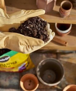 Miracle-Gro Soil & Soil Amendments Potting Mix Bundle 16-Quart Potting Soil Mix -Garden Care Life Shop 44004091