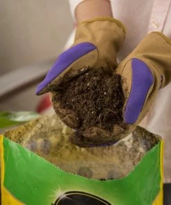 Miracle-Gro Soil & Soil Amendments Potting Mix Bundle 8-Quart Potting Soil Mix -Garden Care Life Shop 44004191