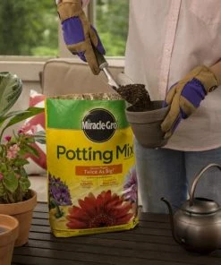 Miracle-Gro Soil & Soil Amendments Potting Mix Bundle 8-Quart Potting Soil Mix -Garden Care Life Shop 44004196