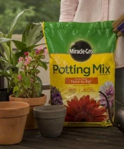 Miracle-Gro Soil & Soil Amendments Potting Mix Bundle 8-Quart Potting Soil Mix -Garden Care Life Shop 44004204