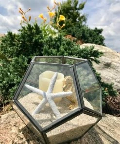 AKASHA Landscaping Rock 4 lb Beach Sand -Garden Care Life Shop 44227704