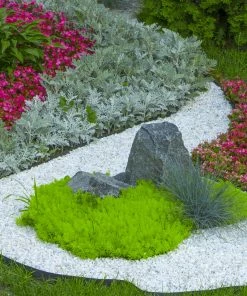 Beach Pebble Company Landscaping Rock Decorative stone chip 30-lb White Decorative Rock -Garden Care Life Shop 44319150